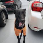 Photo of Raven & Mya