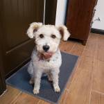 Photo of Podrick & Lucy