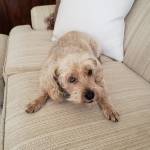 Photo of Ben, Josie, Hannah & Toby