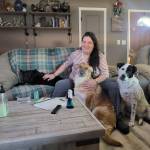 Photo of Nez, Maverick & Belle