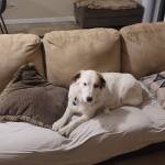 Photo of Tegan, Rosie & Calla