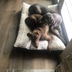 Photo of Winslow/Shiloh