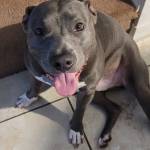 Photo of Blue & Meko