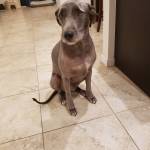 Photo of Kai & Layla