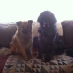 Photo of Mika/Maggie