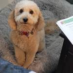 Photo of Chloe & Stella