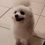 Photo of Banks & Berkley