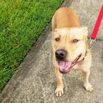 Photo of Mieka & Meredith