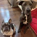 Photo of Tipitina and Gus