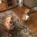 Photo of Casey and Tyson