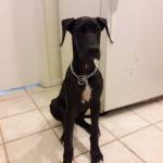 Photo of Alice & Monte