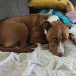 Photo of Rae + Ollie