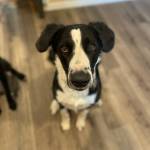 Photo of Monty & Selki