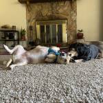 Photo of Brody & Charley