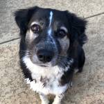 Photo of Lucy and Ruby