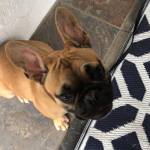 Photo of Coco