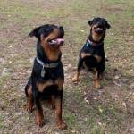 Photo of Zoe and Jojo