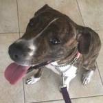 Photo of Jenna Xander Zannie