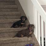 Photo of Paisley and Mystikal