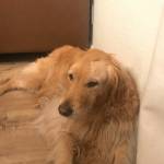 Photo of Maxi / Zoey