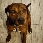 Photo of Sully & Kenzie