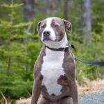 Photo of Cali / Myla