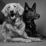 Photo of Sasha, Maya and Booker