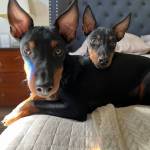 Photo of Clementine / Vincent