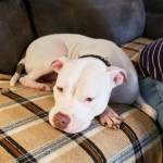 Photo of Prissy & Franny