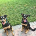 Photo of Mia and Maggie