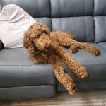 Photo of Chilly & Simon