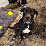 Photo of Jackson and Gina