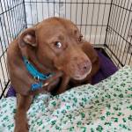 Photo of Sadie & Reagan