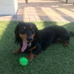 Photo of Lilly & Halligan