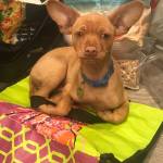 Photo of Kody / Jake