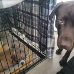 Photo of Tucker & Harper