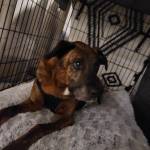 Photo of Woodrow Buzz