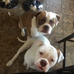 Photo of Khloe & Bailey