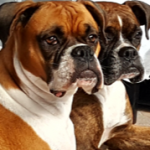 Photo of Samantha/ Maedae