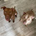 Photo of Caerus and Tito