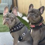 Photo of Luke and Layla