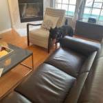 Photo of Foxy and Monster