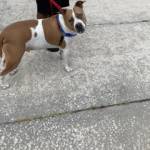 Photo of Major Princess