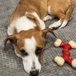 Photo of Stanley / Leeloo