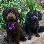 Photo of Lucy & Molly