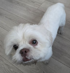 Photo of Boober