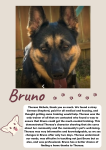 Photo of Bruno