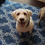 Photo of Raniero and Libby