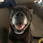 Photo of Emily and Lola