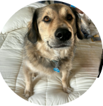 Photo of Wally